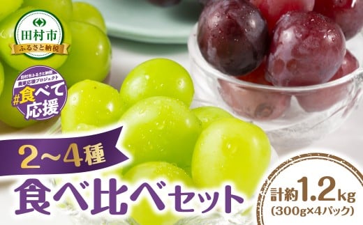 【先行予約 2026年発送】 2～4品種のぶどう食べ比べパック 計約1.2kg 約300g×4 (訳あり粒タイプ) 10月より順次発送 粒パック シャインマスカット バイオレットキング ピオーネ マイハート ゴルビー クイーンニーナ 家庭用 オススメ 福島県 田村市 鈴木農園
