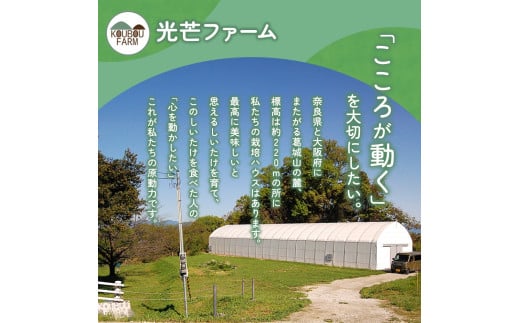 葛城市産生しいたけ（1kg） 椎茸 シイタケ 生 国産 セット 1kg 新鮮 菌床 スライス 奈良県 葛城市【kobo001】_イメージ5