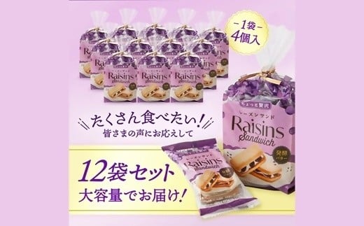 
                  【25134】ちょっと贅沢レーズンサンド
                