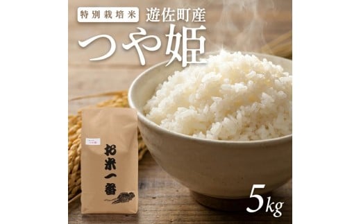 1330R07M05b　遊佐町産 特別栽培米つや姫5kg（令和7年産米）5月中旬