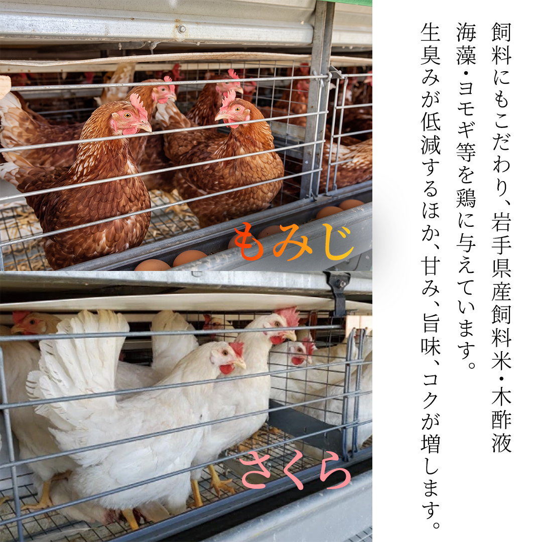 【選べる定期便】卵 玉子 鶏卵 純国産鶏【さくらともみじ】12ヶ月 定期便 たまご 純たまご30個 破損保証5個含む 採れたて 新鮮 農地直送 (AJ034)
