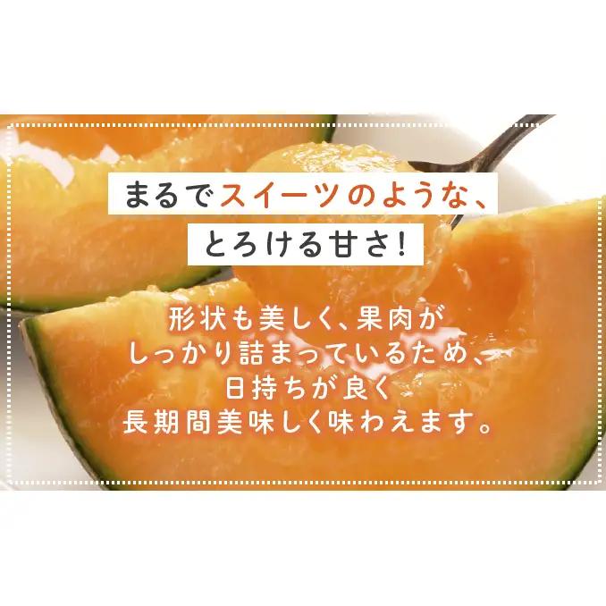【2026年夏発送】富良野 赤肉 メロン 2玉入 計4kg前後 大玉 北海道