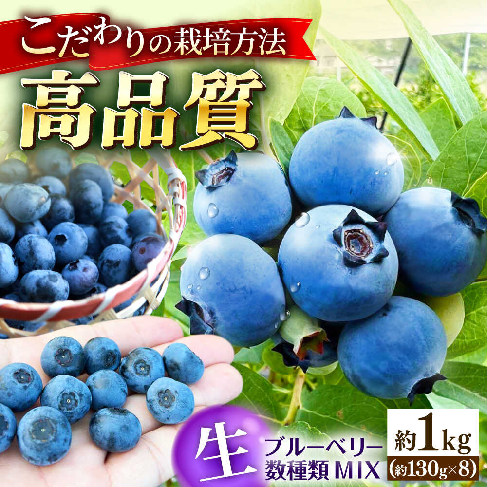 【ふるさと納税】ブルーベリー 国産【冷蔵】＜7月上旬から順次発送＞ブルーベリー 約1kg（130g×8パック） 生ブルーベリー ミックスベリー ベリー 新鮮 スムージー ヨーグルト ジャム ミックス おすすめ 人気 果物 フルーツ くだもの 広島 三次市 / 小川モータース[APCH012]
