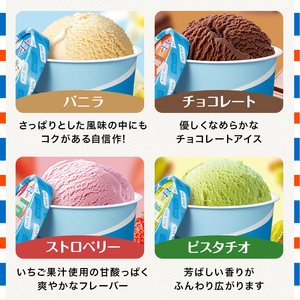 ブルーシール アイス  ギフト12（12種類）アイス 沖縄　人気