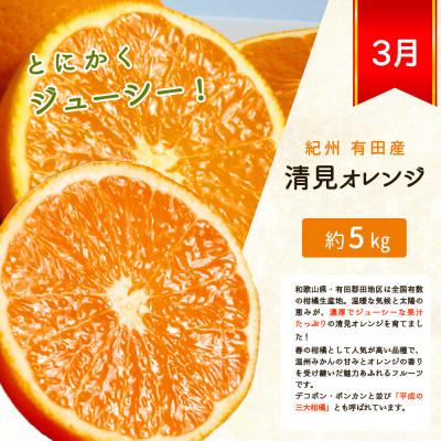 ふるさと納税 由良町 【発送月固定定期便】紀州和歌山産旬の柑橘セット(みかん・ポンカン・清見・なつみ)全4回 |  | 03