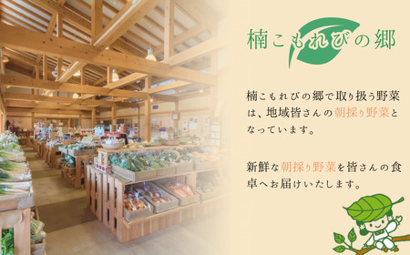 【3ヶ月定期便】新鮮野菜の産直 7～10品目 ＜楠こもれびの郷「楠四季菜市」＞｜野菜 野菜 野菜 野菜 野菜 野菜