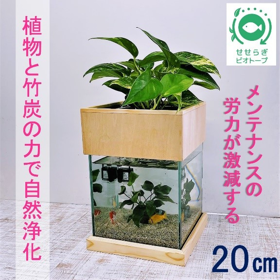 
水槽セット ろ過 ポンプ 植物 癒し 水替え不要20cm 型基本+木枠台セット
