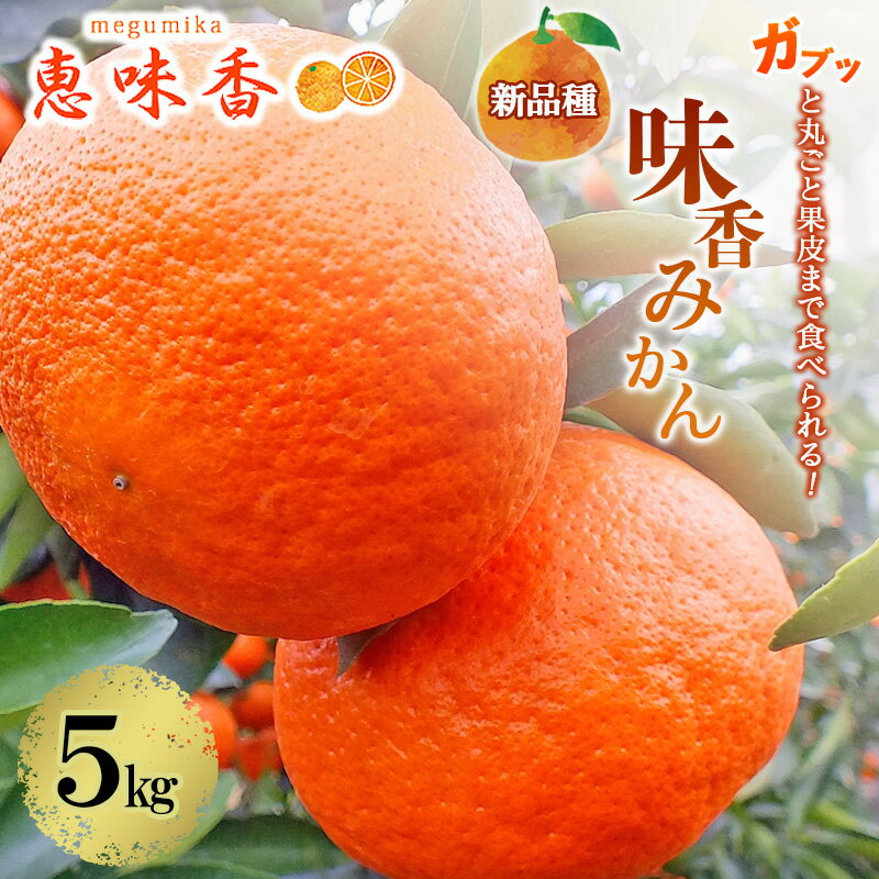【ふるさと納税】みかん 味香みかん 5kg 新品種 果皮も美味しく食べられる！フルーツ ※配送不可：離島　お届け：2026年2月1日～2月28日