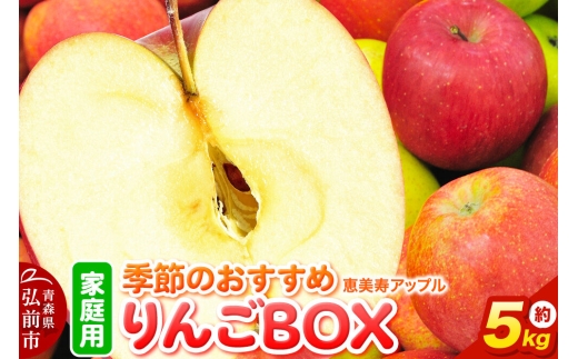 【26年9月～発送】りんご【どんな品種が届くかお楽しみ】季節のおすすめりんごBOX【家庭用】約5kg 詰め合わせ 青森県 弘前市 果物 フルーツ 林檎 リンゴ くだもの 不揃い 規格外 [産地直送 アップル おいしい 果実 美味 甘い]