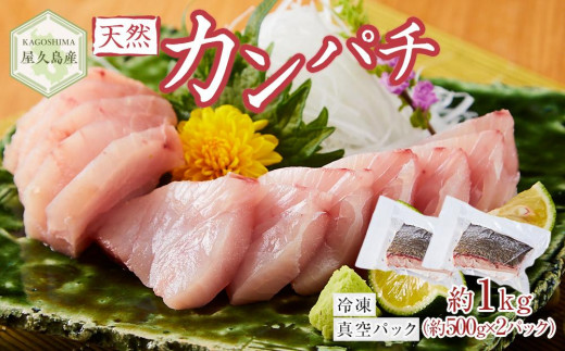 
屋久島産 天然カンパチ 約1kg（約500g×2） ブロック 冷凍 真空パック
