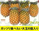 【ふるさと納税】先行予約《2025年夏季 順次発送》黄金パイン大玉6個入 計9.0kg ｜ 産地直送 沖縄 石垣 フルーツ パイナップル パイン 黄金パイン SI-53