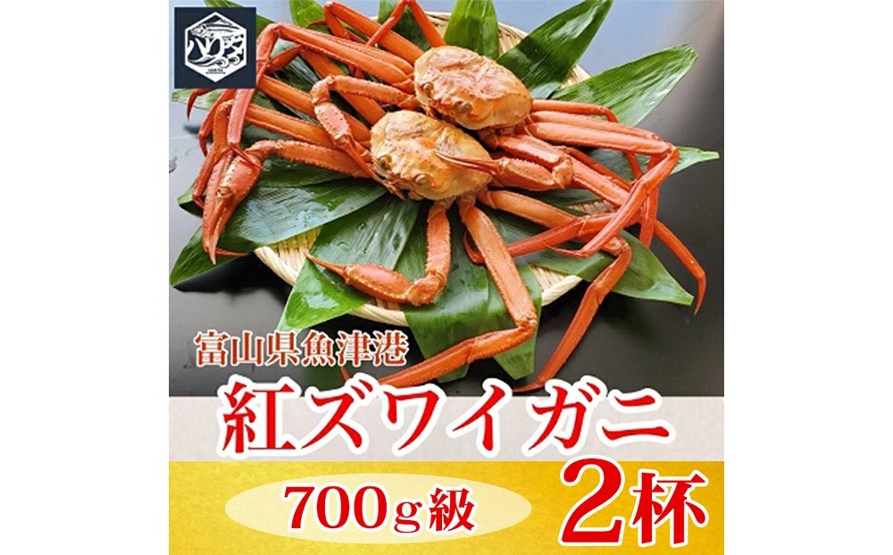 
                  【冷蔵】自社漁船直送！魚卸問屋の紅ズワイガニ 700g級×2ハイセット ※2026年9月～発送
                