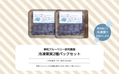 東京農工大学名誉教授「横山　正」ブランドのブルーベリー冷凍果実2パックセット（品種おまかせ）【東和ブルーベリー研究農園】
