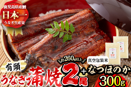 極うなぎ蒲焼き2尾(計260g以上)と真空包装米なつほのか(計300g・1合相当×2P) うなぎ 鰻 ウナギ 2尾 国産 鹿児島県産 蒲焼き 冷凍 うな重 ひつまぶし タレ 山椒  米 真空 真空包装
