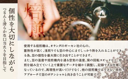 ドリップバッグ 2種 浅煎り・深煎り 飲み比べ コーヒー 珈琲 2個 セット 詰め合わせ ドリップ ドリップコーヒー ドリップパック ドリップバッグ ドリップタイプ 浅煎り 深煎り 小分け パック ギ