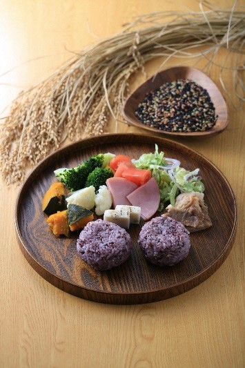 【有機JAS認証】夢の谷ファームの有機古代米 100g×16袋 1U05019