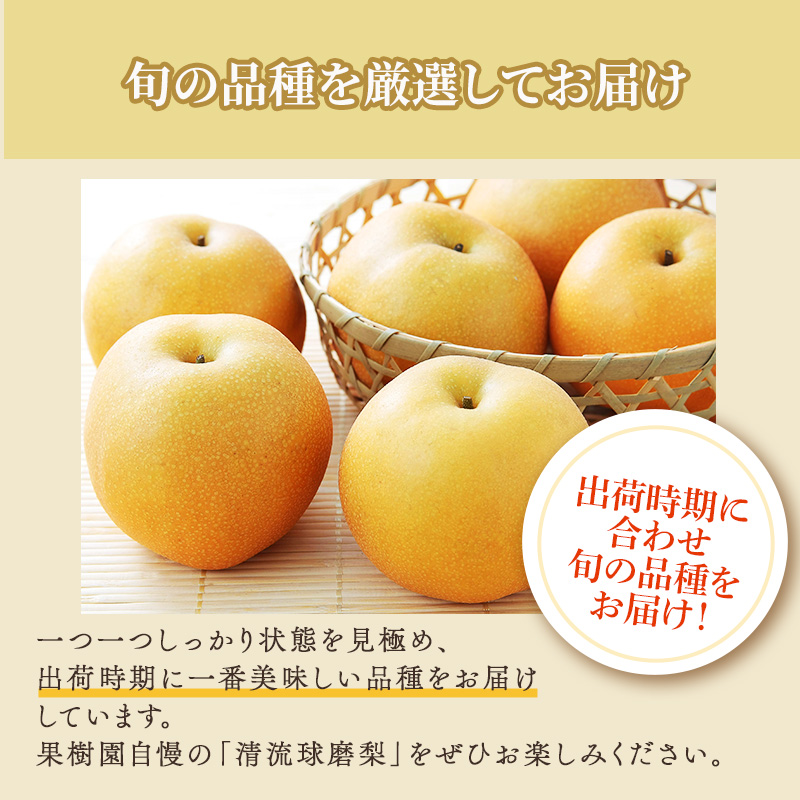 定期便 2回 先行予約 梨 清流錦 豊水 あきづき 新高 かおり 8月 5kg 9月 3kg フルーツ なし ナシ 果物 デザート お楽しみ 2026年発送 配送不可:離島