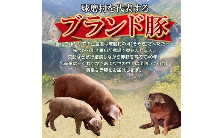 【2カ月定期便】一勝地赤豚 しゃぶしゃぶ・焼肉 堪能定期便 FKP9-420