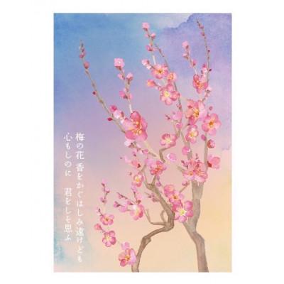 ふるさと納税 水戸市 【水戸市優良観光土産品】Shamrock 粒マスタード 梅香 6個 |  | 03