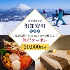 【北海道ツアー】ニセコ 倶知安町 Webカタログ用 旅行クーポン券(30,000円分)