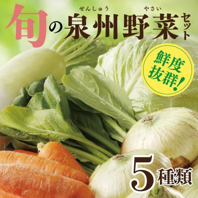 ふるさと納税 泉佐野市 旬の野菜セット おまかせ5種類詰め合わせ(国産) 099H4172
