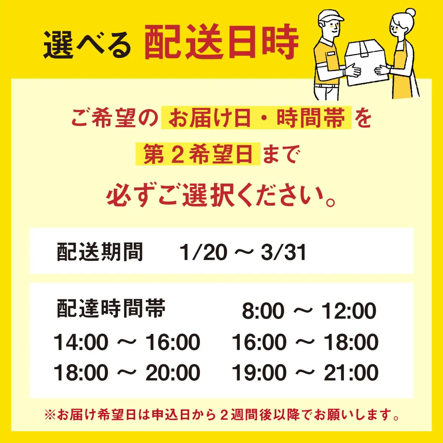 【先行予約】越前がに 中 （約600g～700g） 2杯【1月～3月発送】 日本海 直送