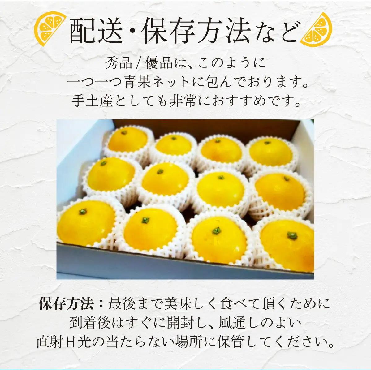 ＜優品＞西内小夏 2kg