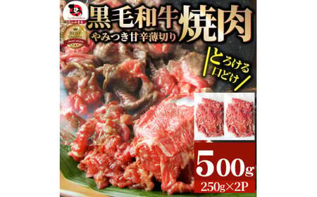 とろける黒毛和牛リッチな薄切り焼肉500g(250g×2P)　秘伝のタレ漬け_mk146-018