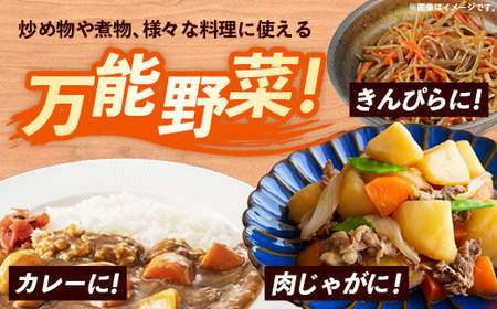 【きあり農園】2026年度 幸手市産 人参 10kg - 採れたて にんじん ニンジン 産地直送 野菜 ベジタブル 美味しい おいしい 根菜 煮物 炒め物 カレー サラダ おすすめ 送料無料 埼玉県 