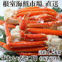 【ふるさと納税】根室海鮮市場＜直送＞ボイル本ずわいがに脚5肩(計約1.2kg) A-28248
