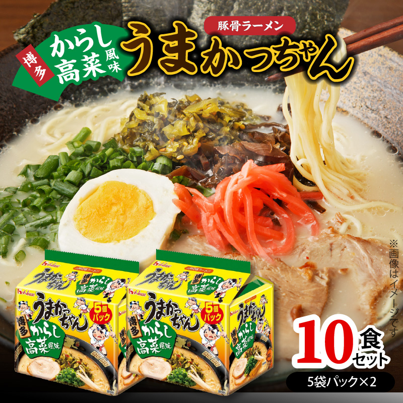 豚骨ラーメン うまかっちゃん 博多からし高菜風味 10食セット（5袋パック×2セット） PC8606