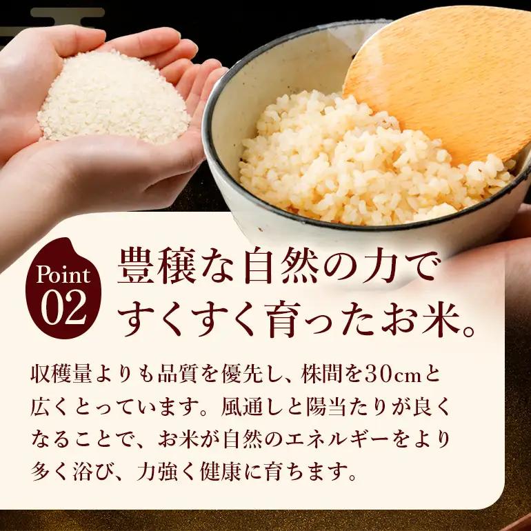 令和8年 新米 玄米 ひのひかり 5kg 6ヶ月定期便 ぶんぶんファーム