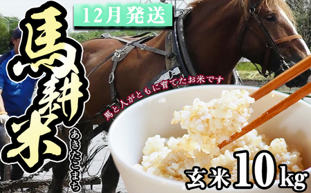 【 2025年 12月中旬より発送】 岩手県産 新米 馬耕米 あきたこまち 玄米 10kg ／【株式会社スタディア】 お米 米 こめ コメ ご飯 ライス おにぎり 弁当 単一原料米 10キロ １０kg 馬耕 馬 ウマ うま 産地直送 国産 おすすめ 人気