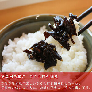 佃煮 定期便 3ヶ月 ご飯泥棒 つくだ煮 セット 鳥居商店 大正14年創業の昆布・佃煮専門店 老舗 根昆布 昆布 きくらげ 生姜 かつお節 鰹節 食べ比べ ごはんのお供 ご飯のお供 お弁当 おかず 惣