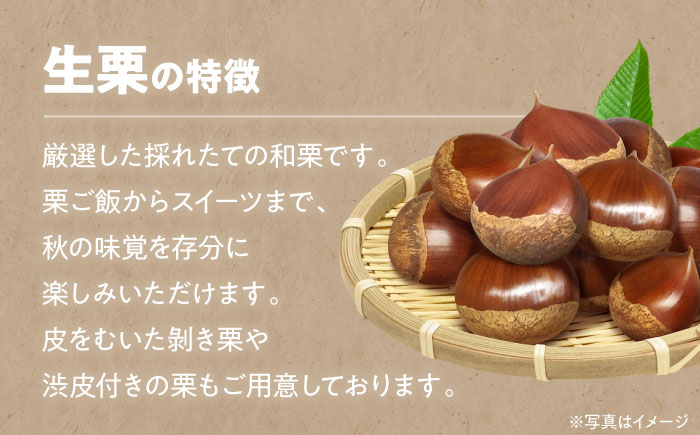 【先行予約】【9月上旬より順次発送】秋深まる味覚の宝！生栗2kg（L〜2Lサイズ）　愛媛県大洲市/沢井青果有限会社 [AGBN043]お菓子 おやつ お土産 手作り 焼き菓子 和菓子 駄菓子 手作りお