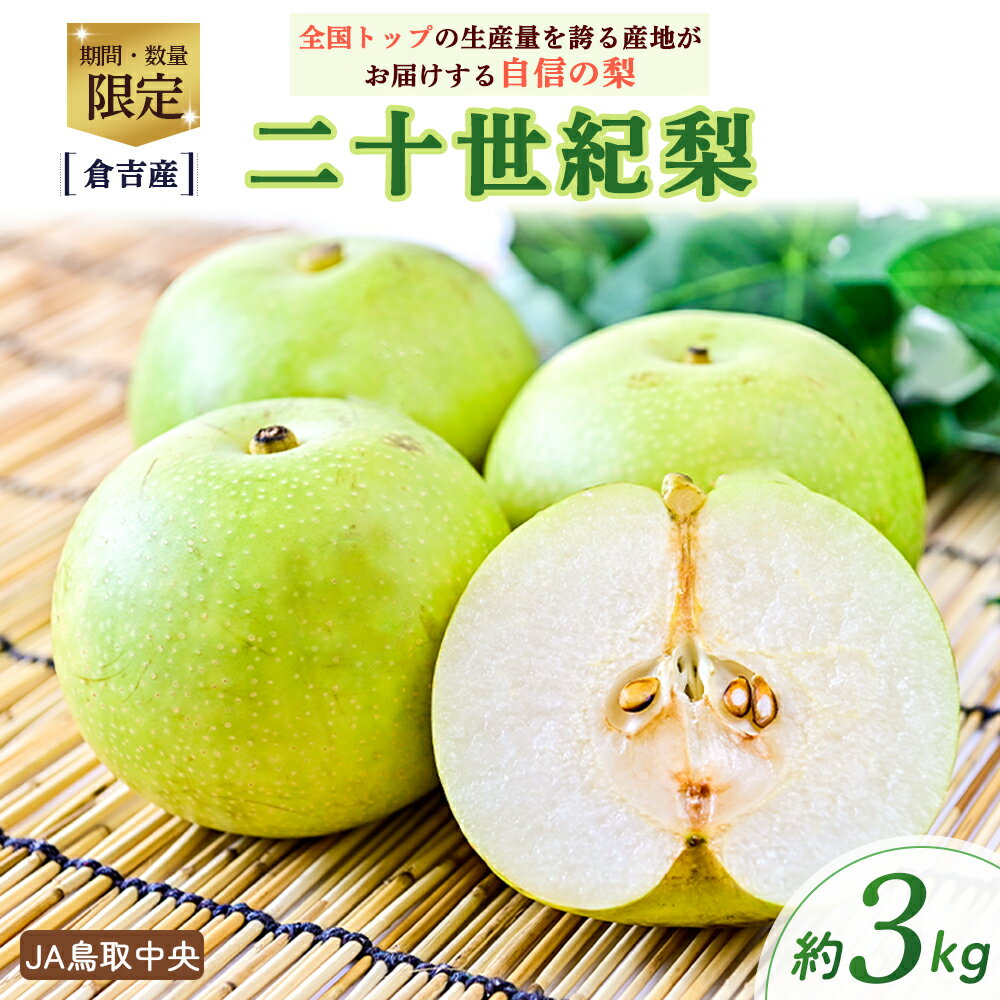【ふるさと納税】 二十世紀梨 【倉吉産】3kg（JA鳥取中央） 梨 ナシ なし 果物 フルーツ 和梨 先行予約 数量限定 詰め合わせ 20世紀梨 14000 1万4千円