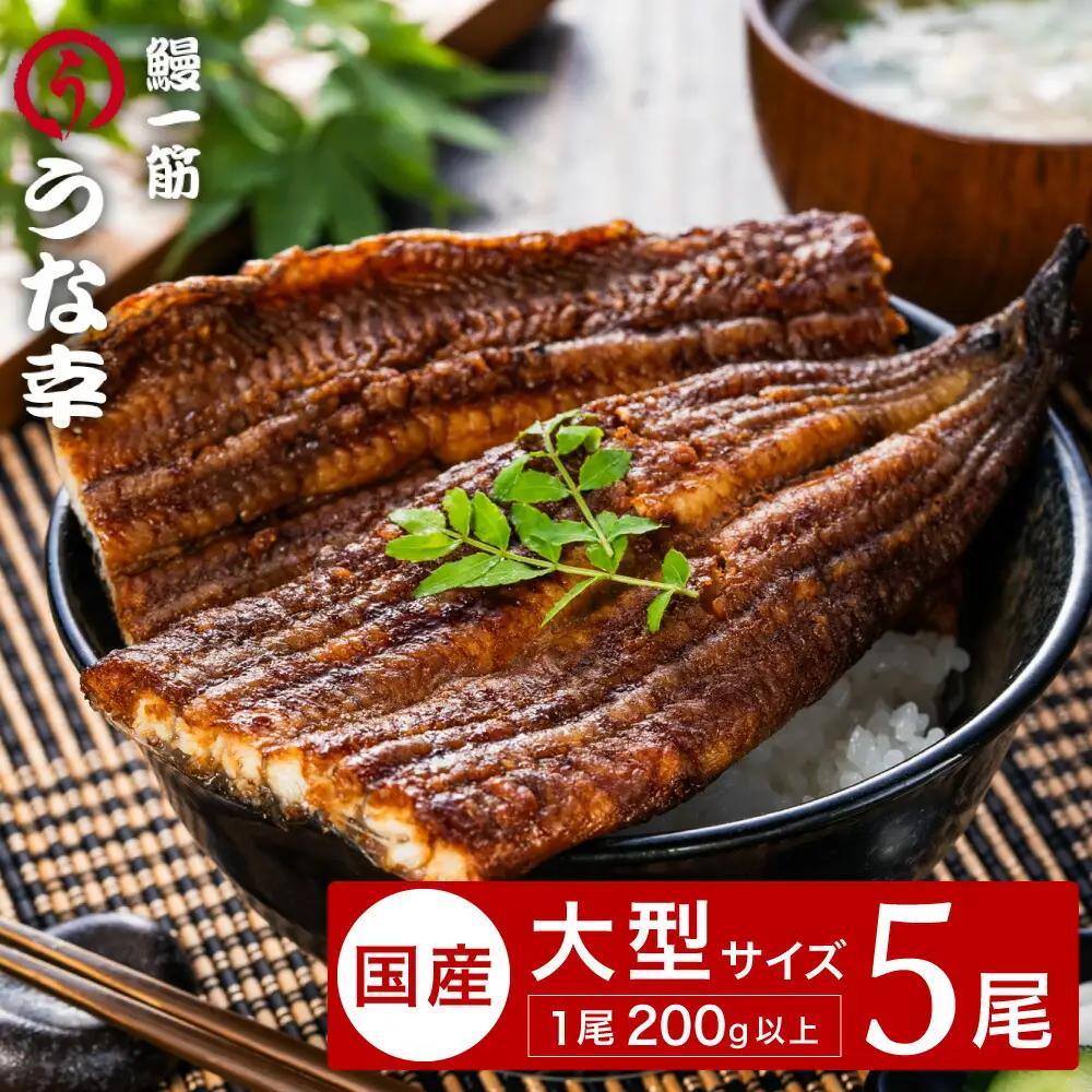 うな幸 国産うなぎ ふわとろ蒲焼き 大型5尾 特製タレ・山椒付き