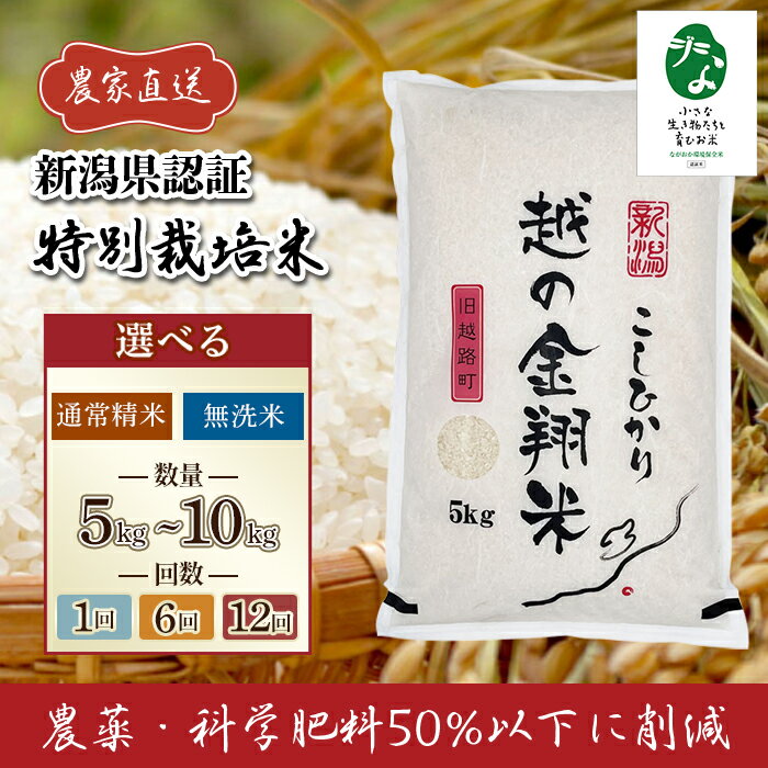 【ふるさと納税】令和7年産 米 無洗米 定期便 5kg 10kg 新潟 コシヒカリ 精米 白米 お米 選べる 1回 6回 12回 6ヶ月 12ヶ月 新潟こしひかり 【越の金翔米】新潟県長岡産コシヒカリ「小さな生き物たちと育むお米」認証品（アグリカンパニーこしじ）