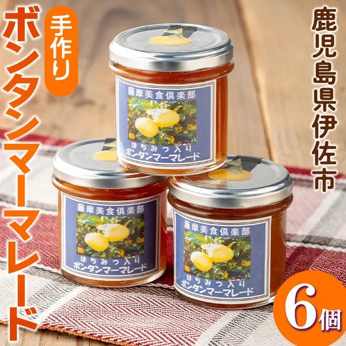 isa545 《数量限定》手作りはちみつ入りボンタンマーマレード(計6個・各140g) ふるさと納税 伊佐市 特産品 加工食品 果物 フルーツ 詰め合わせ 果肉 柑橘 低糖 ハンドメイド ジャム ギフト 【薩摩美食倶楽部】