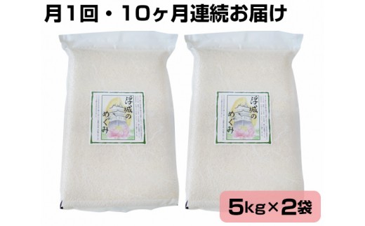 
No.111 【10kg・10ヶ月連続お届け】行田のお米　忍城献上米［むかさ商店］ ／ 精米 白米 定期便 埼玉県
