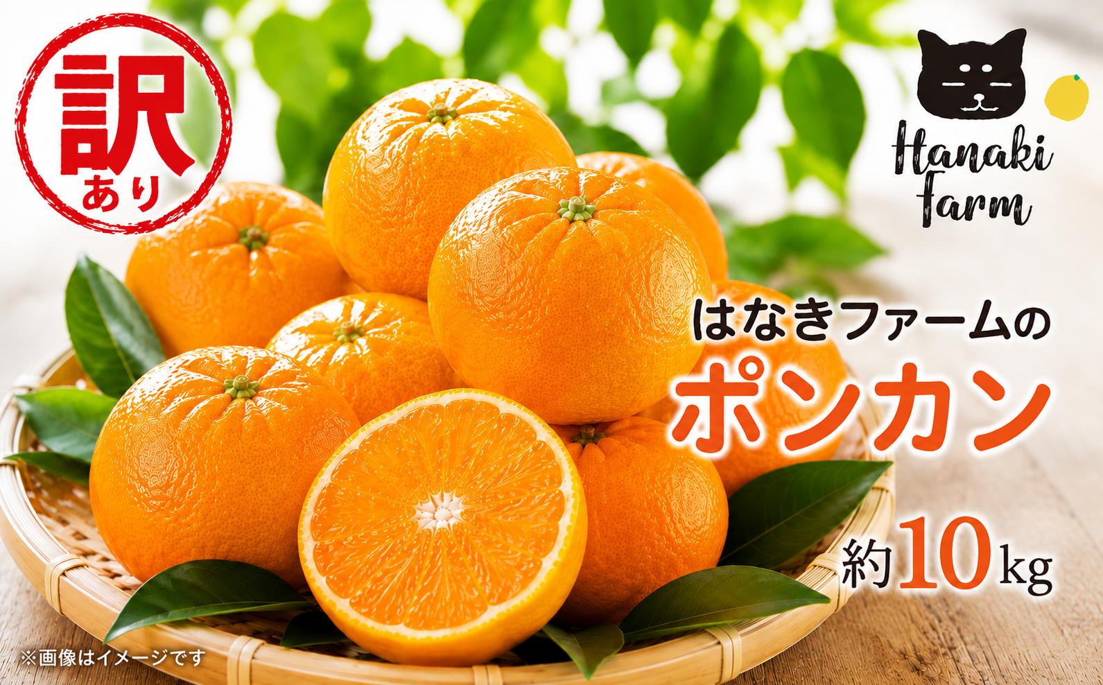 
                  【先行予約】 訳あり ポンカン 約10kg サイズミックス 傷 シミ みかん 蜜柑 柑橘 果物 フルーツ 甘い 糖度 ゼリー ジュース アイス 国産 愛媛 愛南町 はなき農園 配送期間：2027年2月～ (なくなり次第終了)
                