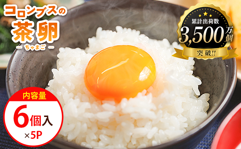 たまご コロンブスの茶卵 6個入×5P 卵 生卵 茶卵 濃厚 卵黄 卵白 生臭みなし 透明感 卵かけご飯 たまご 玉子 朝ごはん オムライス 鶏卵 国産 kl-0004