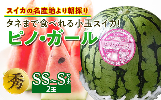 
                  《先行予約 2026年度発送》タネまで食べれる小玉スイカ！【スイカの名産地より朝採り】ピノ・ガール  スイカ すいか 西瓜 デザート フルーツ 果物 くだもの 果実 食品 山形県 FSY-0119
                