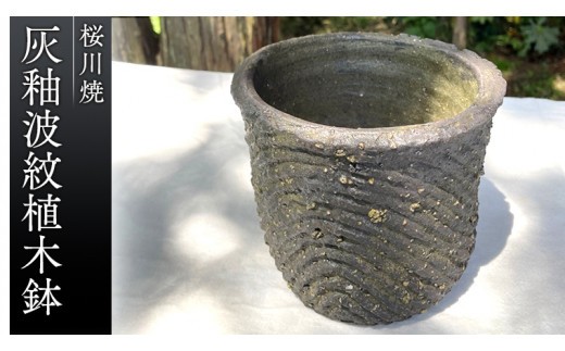 
                  桜川焼 灰釉波紋植木鉢（はいゆうはもんうえきばち） 連理窯  陶器  焼きもの やきもの 焼き物 工芸 茨城県 [AF006sa]
                