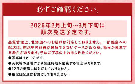 【先行予約】あまおう 等級G 約280g×2パック 計約560g いちご 苺 果物 フルーツ 【2026年2月上旬～2026年3月下旬発送予定】