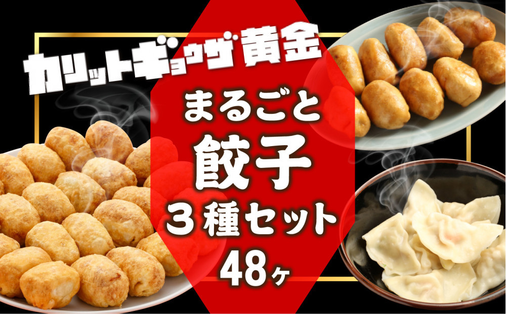 カリットギョウザ まるごとセット３種（48ケ）餃子 水餃子 スマイル餃子