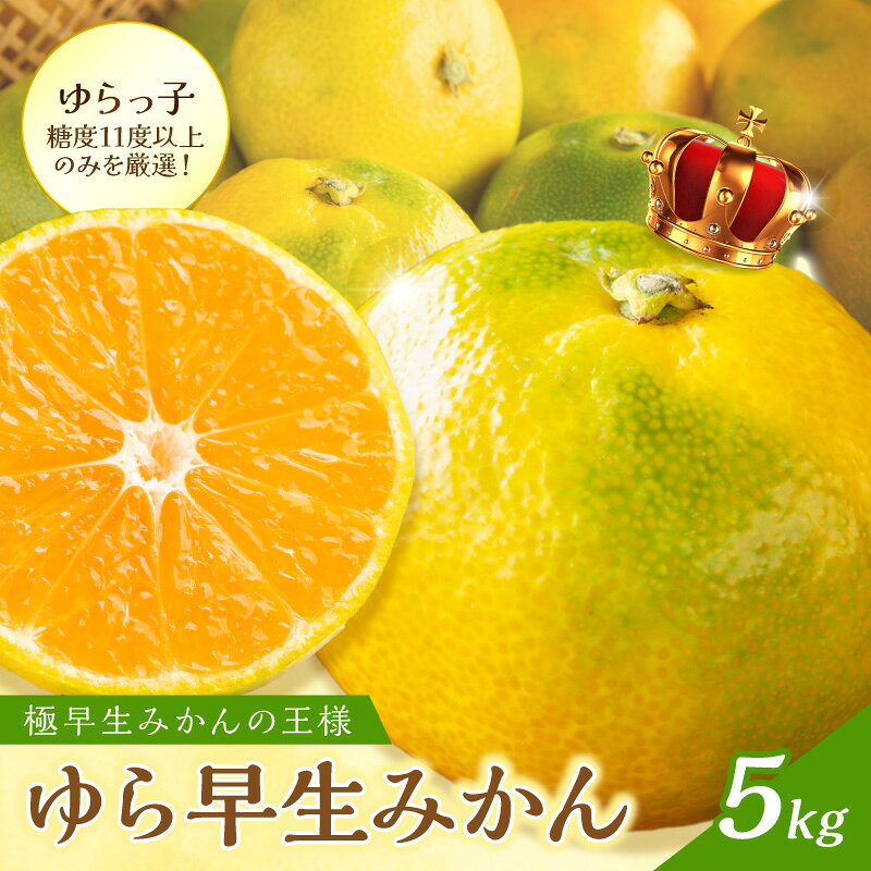 【ふるさと納税】御坊市・日高川町・由良町産　ゆら早生みかん（ゆらっ子）5kg《先行予約》