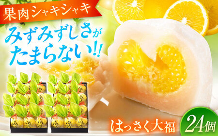 はっさく大福12個入×2 [BADH017]大福