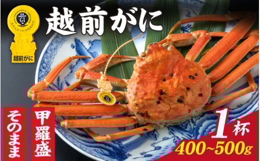 【先行予約】【11月～3月発送】選べる！美味しさ直送【成前特選】 越前がに（400g～500g）×1杯 甲羅盛  [D-028042_07] / 福井県 福井 オス 雄 ズワイガニ ボイル 冷蔵 越前ガニ 越前がに 越前カニ ずわいがに ずわい蟹 かに カニ 蟹 指定 茹で 甲羅盛り 甲羅盛