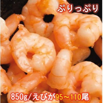 ふるさと納税 若狭町 訳あり越前若狭食宝庫の高級むきえび【ホワイトバナメイエビ冷凍】850g/約95〜110尾 |  | 01